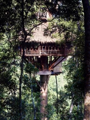 The tree-houses at The Gibbon Experience are accessible only by zip-line.