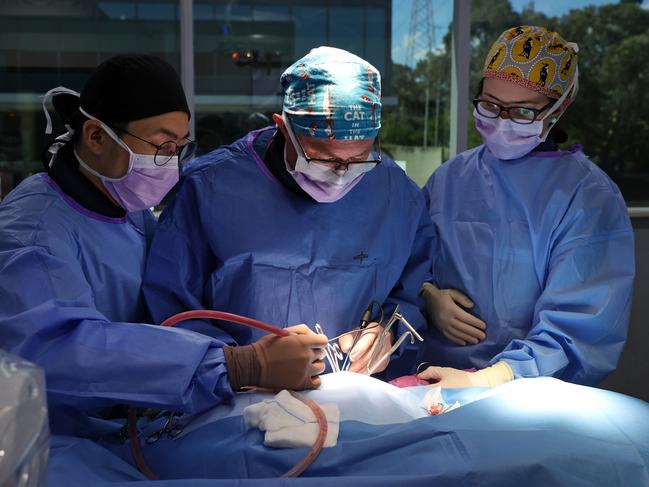 Dr Stephen Fearnside (centre) operating on the injured eagle named Tuross. Picture: Richard Dobson