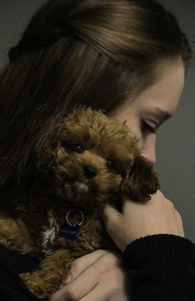 Grace Garrahy with Sebastian as a puppy. Picture - contributed.