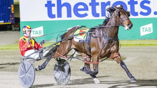 Lochie Cook drives Jillibyjacksparrow to victory at Melton. Picture: Stuart McCormick