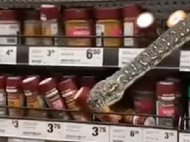 Shock as snake spotted in Woolies