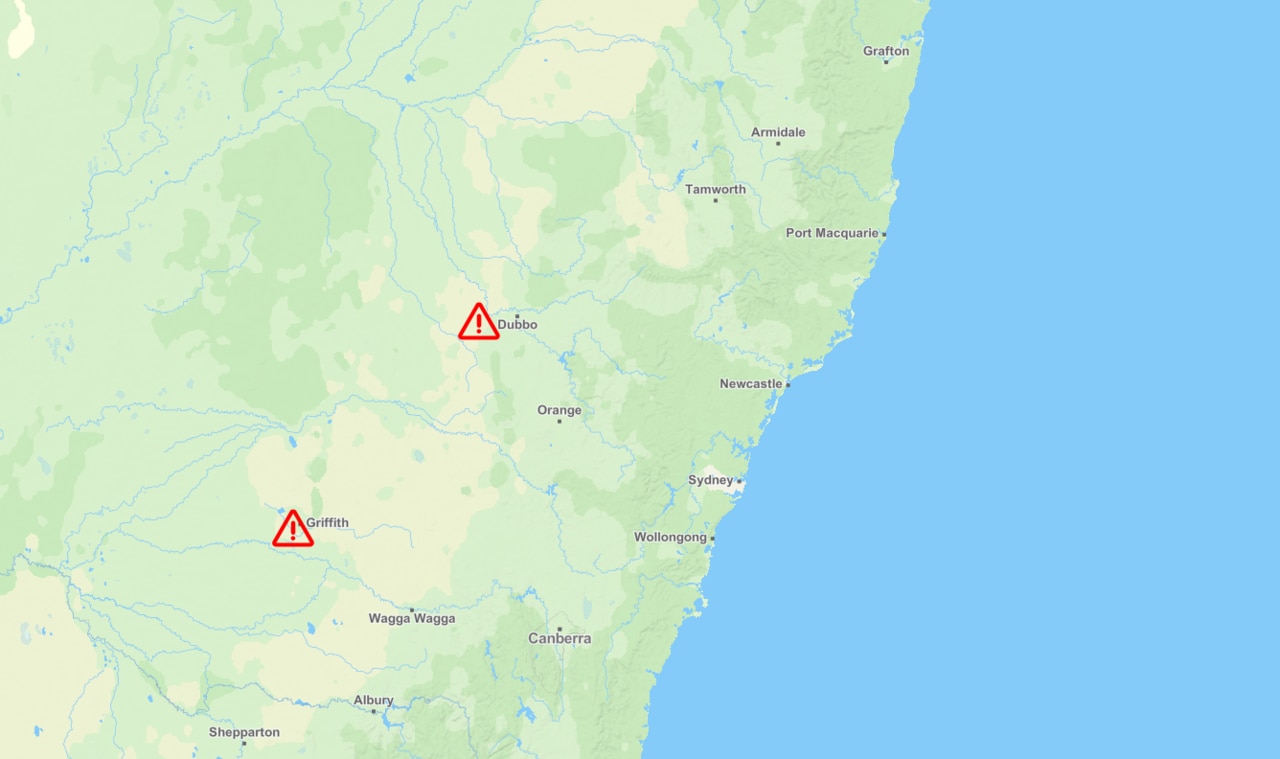 The virus has been detected in routine mozzie surveillance in Griffith as well as in feral pigs in Narromine Shire (pictured).