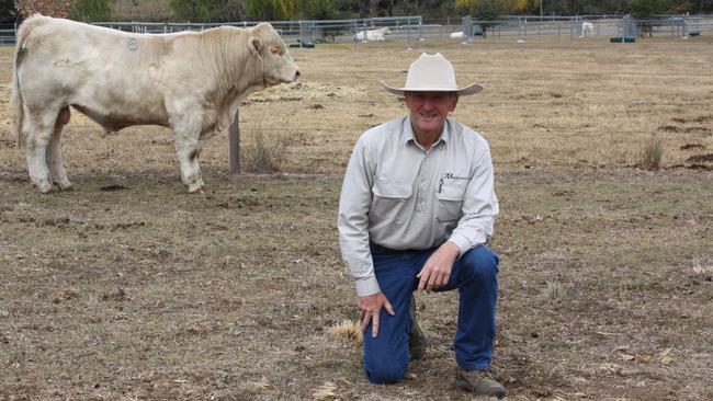 Ascot Cattle Co owner and SDRC Saleyards Advisory Committee chairman Jim Wedge. Picture: File