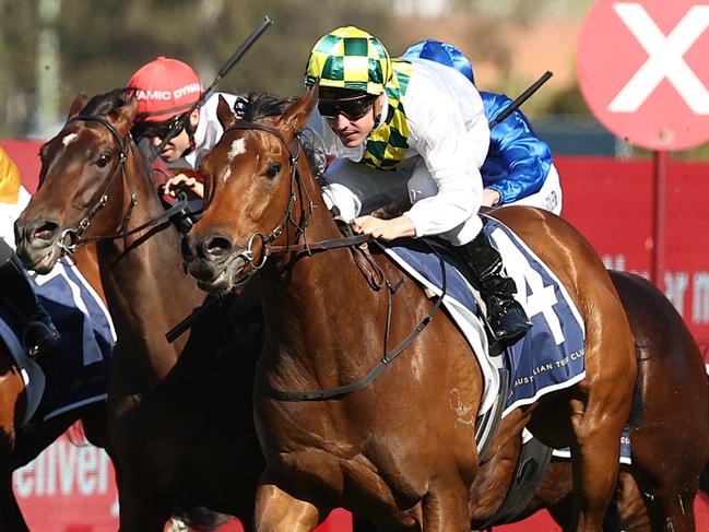 SYDNEY, AUSTRALIA - SEPTEMBER 09: Ryan Maloney riding Sunshine In Paris wins Race 6 Irresistible Pools Sheraco Stakes during Sydney Racing at Rosehill Gardens on September 09, 2023 in Sydney, Australia. (Photo by Jeremy Ng/Getty Images)