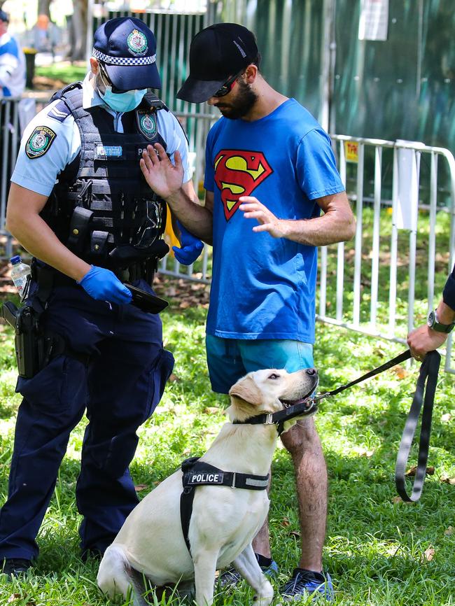 Sniffer dogs were present at the 2022 Field Day Music Festival. Picture: Newscorp Daily Telegraph/Gaye Gerard.