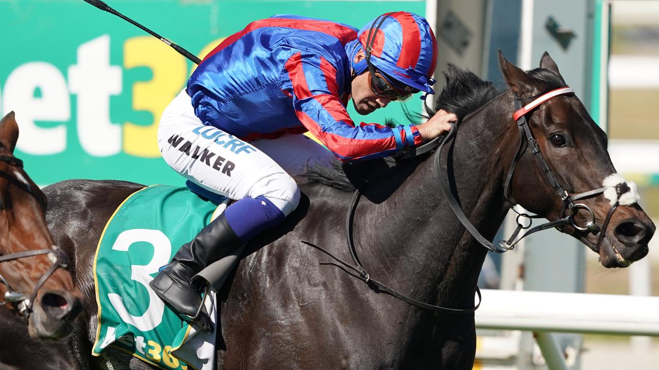 Michael Walker rides Prince Of Arran to victory in the Geelong Cup.