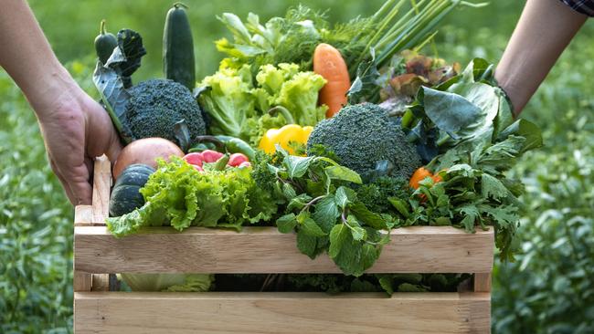 A vegan diet in eight weeks appeared to turn back the clock on certain ageing processes. Picture: iStock