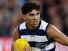Star Cat’s guardian given special permission to handle new deal