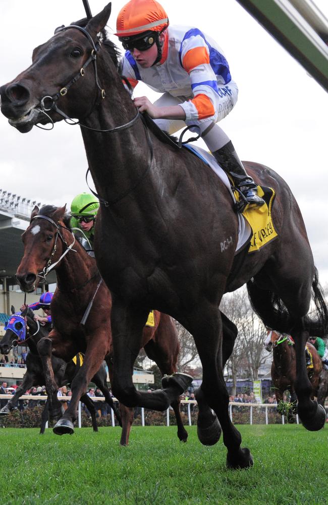 Dylan Dunn salutes on Hey Doc at Moonee Valley. Picture: Getty Images