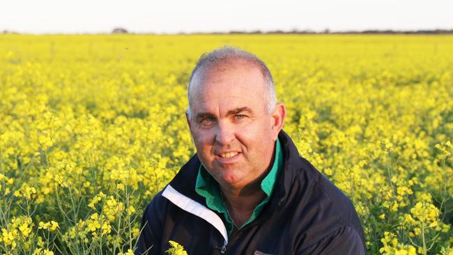 Jason Butcher surveys his irrigated canola at Merbein South.