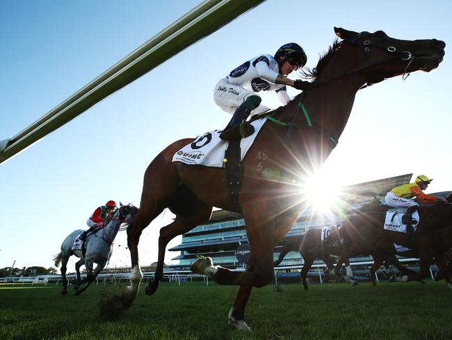 *APAC Sports Pictures of the Week - 2020, May 4* - SYDNEY, AUSTRALIA - MAY 02: Robbie Dolan riding Black Magnum rides during race seven Quincy Seltzer Handicap during Sydney Racing at Royal Randwick Racecourse on May 02, 2020 in Sydney, Australia. (Photo by Cameron Spencer/Getty Images)