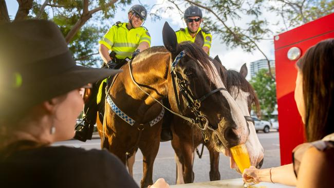 The mounted police are back on Darwin streets after a five month hiatus. Territory Mounted Unit are Senior Constable Erin Simonato on High Tower and Senior Constable Charlie Drury on Sabre. Picture: Che Chorley