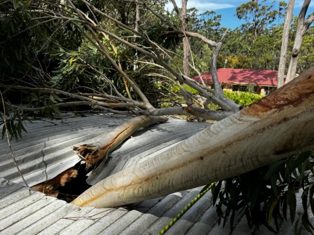 Similar conditions are forecast for Friday. Picture: NSW SES