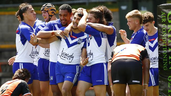 Bulldogs players enjoy a try. Picture: Sam Ruttyn.