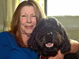 PASSION FOR PAWS: Brenda Abbey has written a children's book and Archie the dog is the star. Picture: John McCutcheon