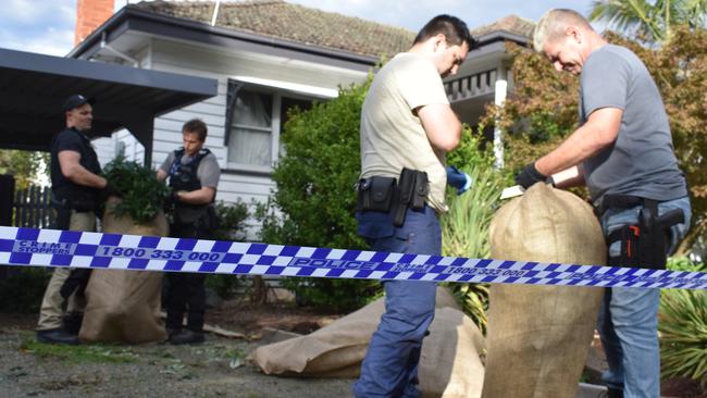 Croydon detectives uncovered 80kg of cannabis with a street value of $2 million in Ringwood on Thursday afternoon. Picture: Kiel Egging.