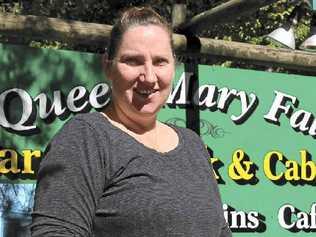 Queen Mary Falls Caravan Park owner Louise Reed said business had been steady but there was potential to encourage more tourists through marketing. Picture: Erin Smith