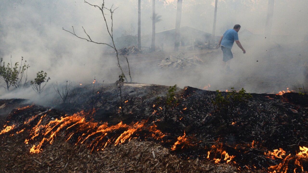 Nearly 60 NSW schools forced to close amid bushfire emergency