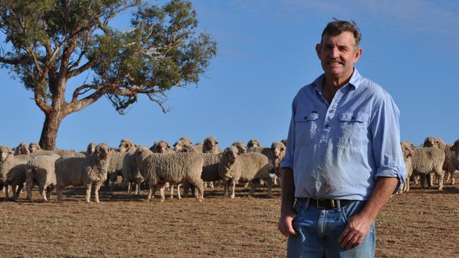 Yarrawonga Merino Stud’s Steve Phillips with some of their Merino ewes. Picture: File