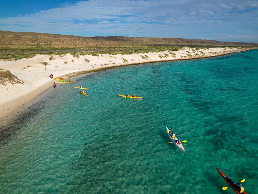 Ningaloo Reef Tour With Exmouth Adventure Co | The Australian