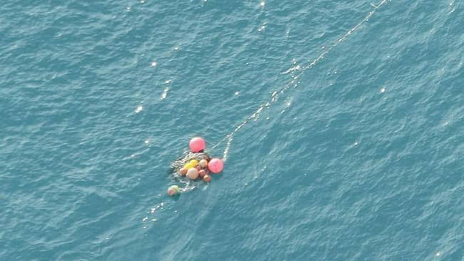 The humpback whale became tangled in 200m of ropes and 11 flotation buoys. Picture: Facebook/DEECA Gippsland