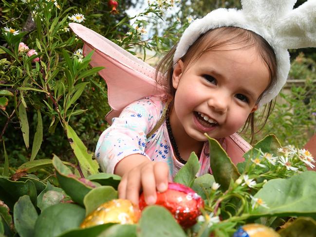 Harper at the Rippon Lea Easter Fun Day last year. Picture: Josie Hayden