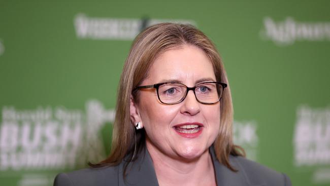 Deputy Premier Jacinta Allan. Picture: Mark Stewart