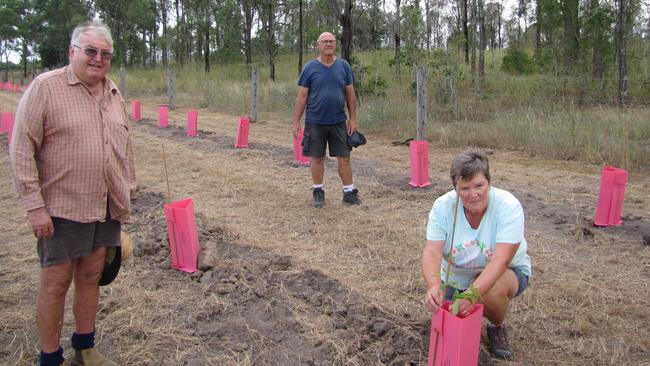 BIG HELP: Lowood Beautification Project co-ordinator Peter Bevan with volunteers John and Sue Cook.