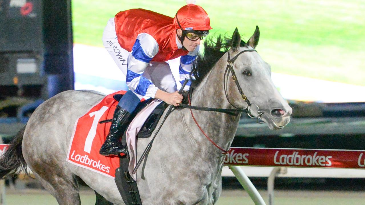 Melbourne Cup booking looks a breeze for Berkshire