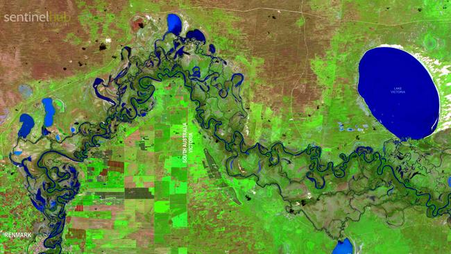 The River Murray region between Renmark and Lake Victoria, in NSW, in October 2022. Picture: Mapping Services Australia