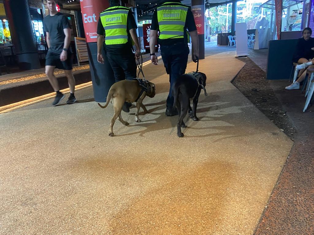 Security guards with dogs have already had to be employed at Casuarina Square.