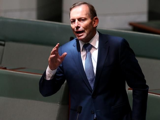 Tony Abbott during the debate on the Marriage Amendment (Definition and Religious Freedoms) Bill 2017 in the House of Representatives Chamber, at Parliament House in Canberra.