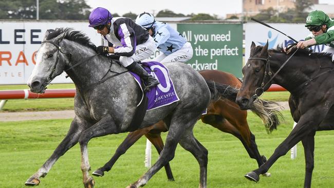 Six Foot Song came from last and burst between runners to win at Newcastle in May. Picture: Bradley Photos