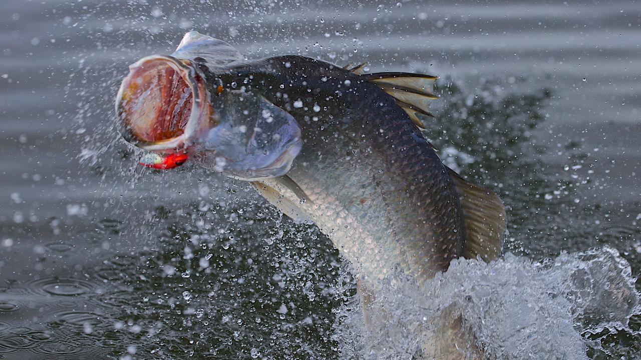 Did You Know That The NBA Was A Huge Bass Fishing Hub Less Than