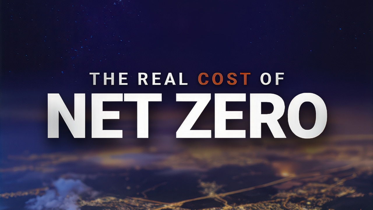 The real cost of net zero | Sky News Australia