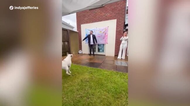 Husband almost ruins gender reveal party with hilarious fail