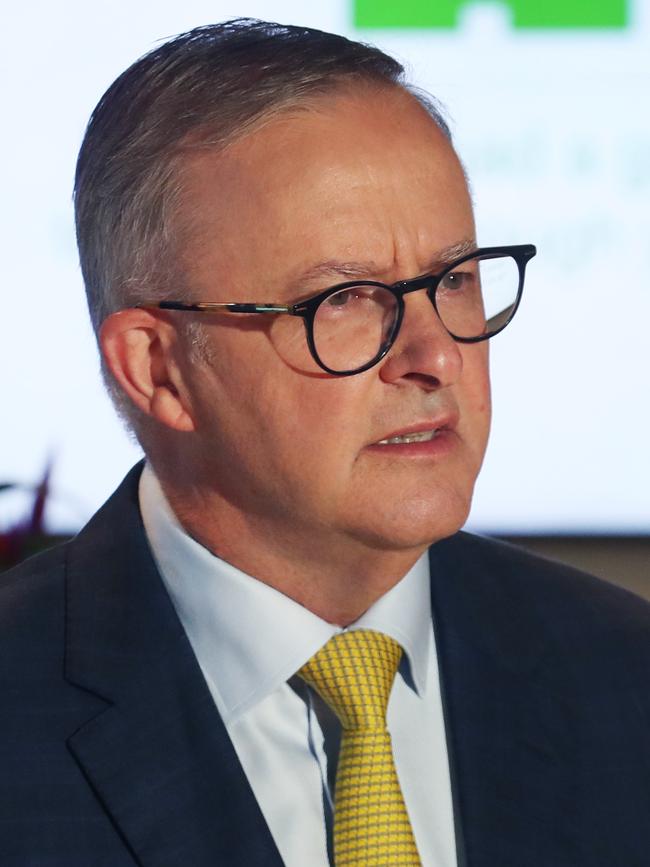 Australian Labor Party leader Anthony Albanese announced he supports the Kurri Kurri project going ahead. Picture: NCA NewsWire / David Crosling