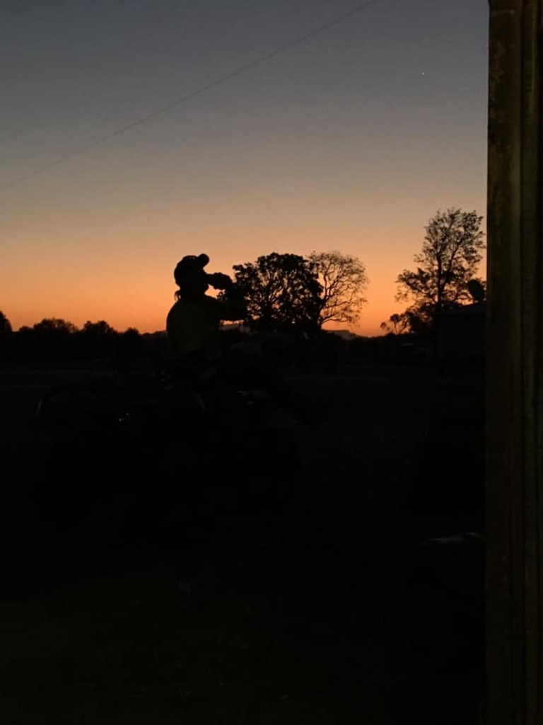 Silhouette on the property. (Photo: Branden Lacey)