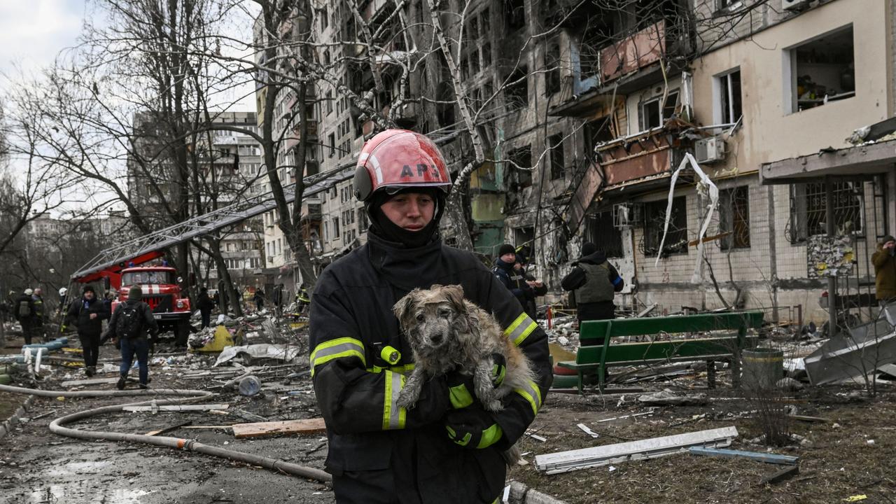 A firefighter rescues a dog after an apartment building. Picture: Aris Messinis/AFP