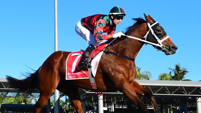 Egg Tart should relish the soft conditions at Royal Randwick on Saturday. Picture: Trackside Photography