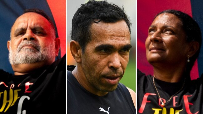 Several Indigenous sporting icons have called for a change to current restrictions surrounding the use of the Aboriginal flag.