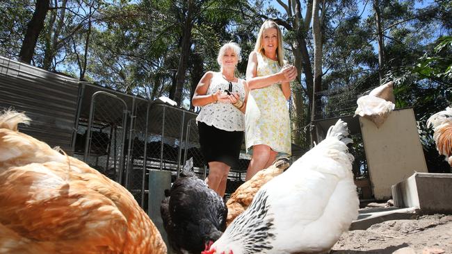 Marion Charlton and Simone Patterson at The Sanctuary Women, Children and Pets refuge