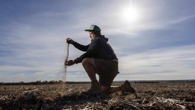 Crop farmer Daniel Marrett on his property at Peake. Picture: Kelly Barnes