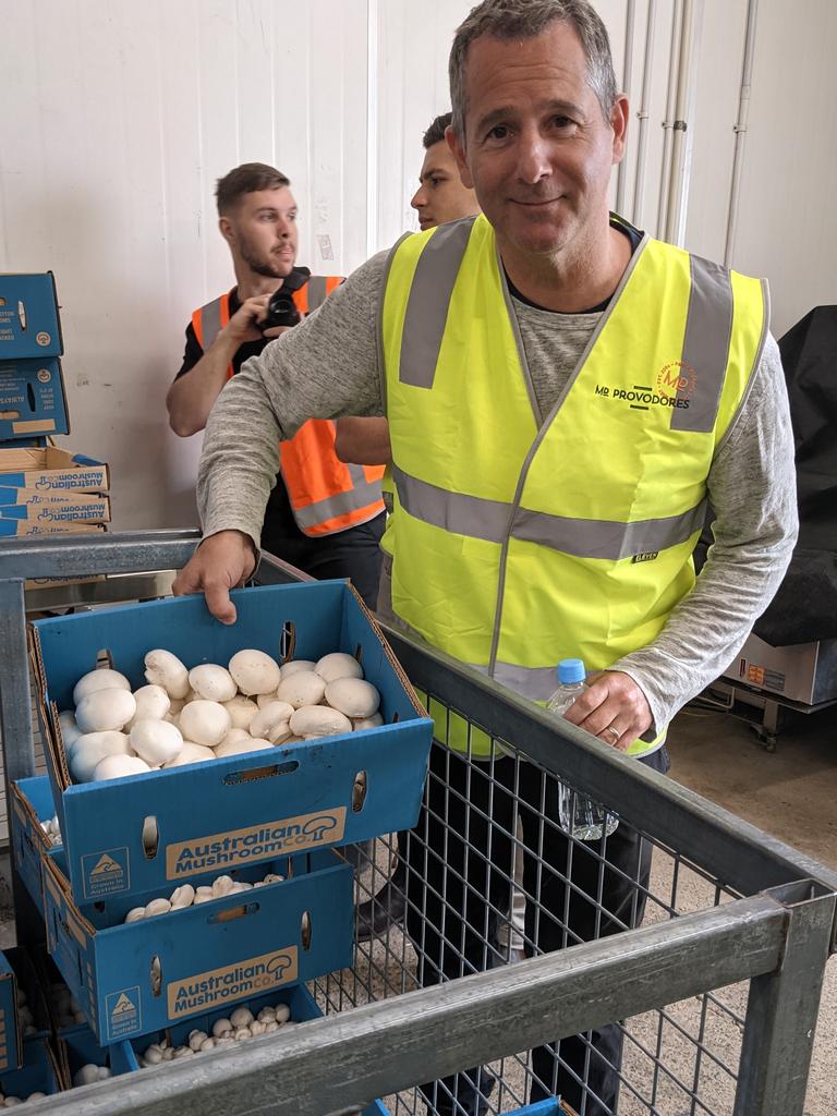 Mushrooms have jumped in price from $35 to $50 a box, an increase of 56 per cent. Picture: Supplied