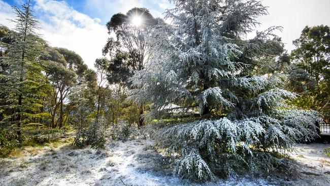 Snow on Mt.Macedon has created a winter wonderland. Picture: Jay Town