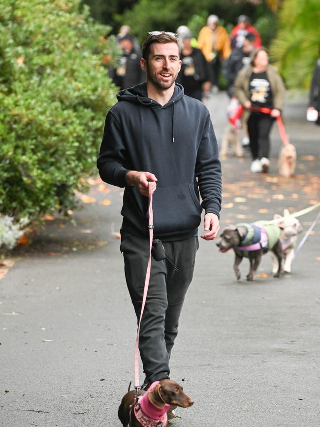 Million Paws Walk at Adelaide Botanic Gardens. Picture: Brenton Edwards