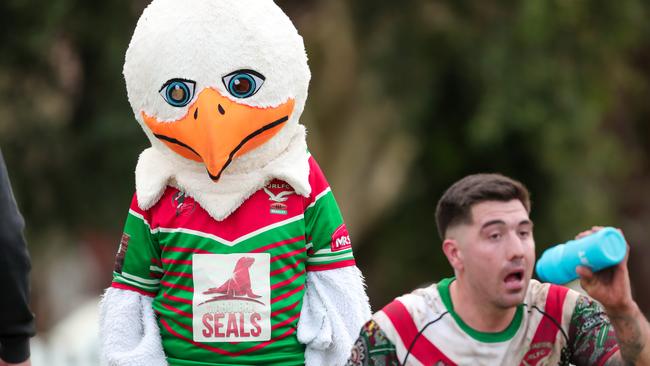 Andres Rossini gets a breather as the South Eastern mascot watches intently. Picture: Adam Wrightson Photography