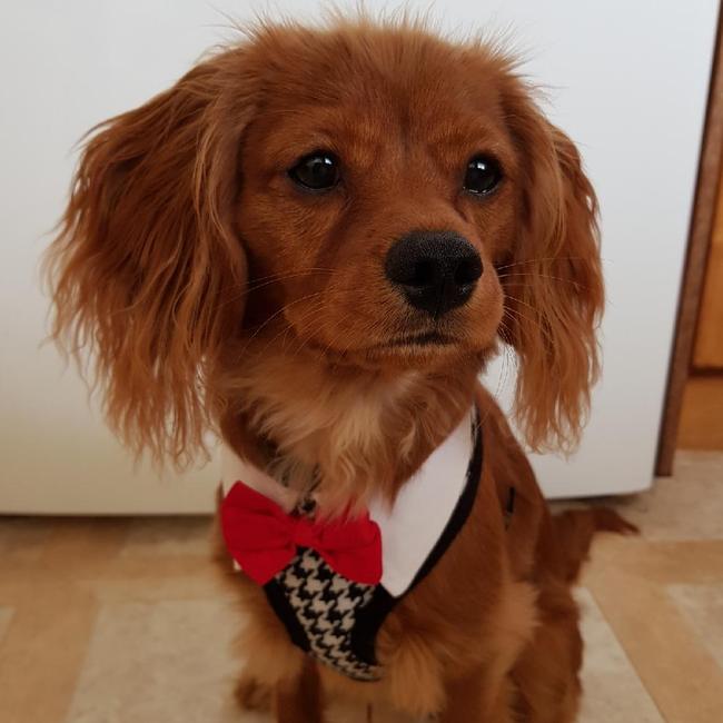Handsome, and ready for a photo!