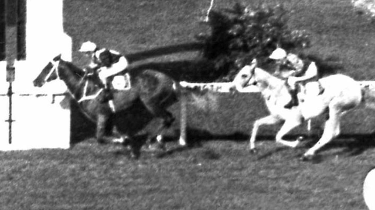 MARCH 30, 1974 : Strip finish of racehorse Hartshill ridden by jockey Kevin Langby winning Race 5, 1974 Golden Slipper Stakes at Rosehill in Sydney, 30/03/74. Pic Wal Harrison.  Historical  Turf A/CT