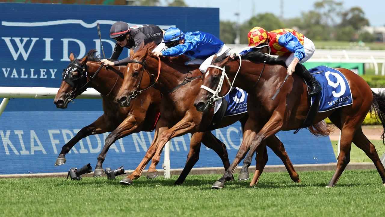 Blue Diamond in sights of ‘gutsy’ Waterhouse-Bott filly